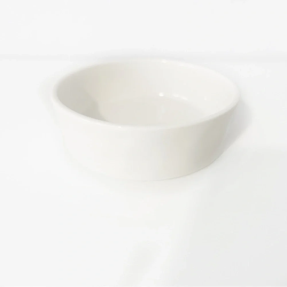 Rae Dunn Feast Pet Food Dish